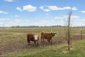 Additional image 6 of 4239 Seven Hills Rd, Odin, IL, 62870