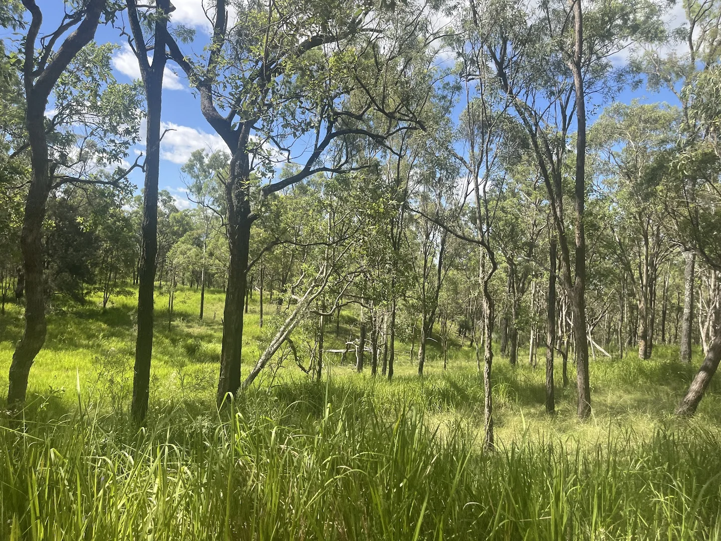 Additional image 8 of 8454 Cunningham Highway, Tarome QLD 4309