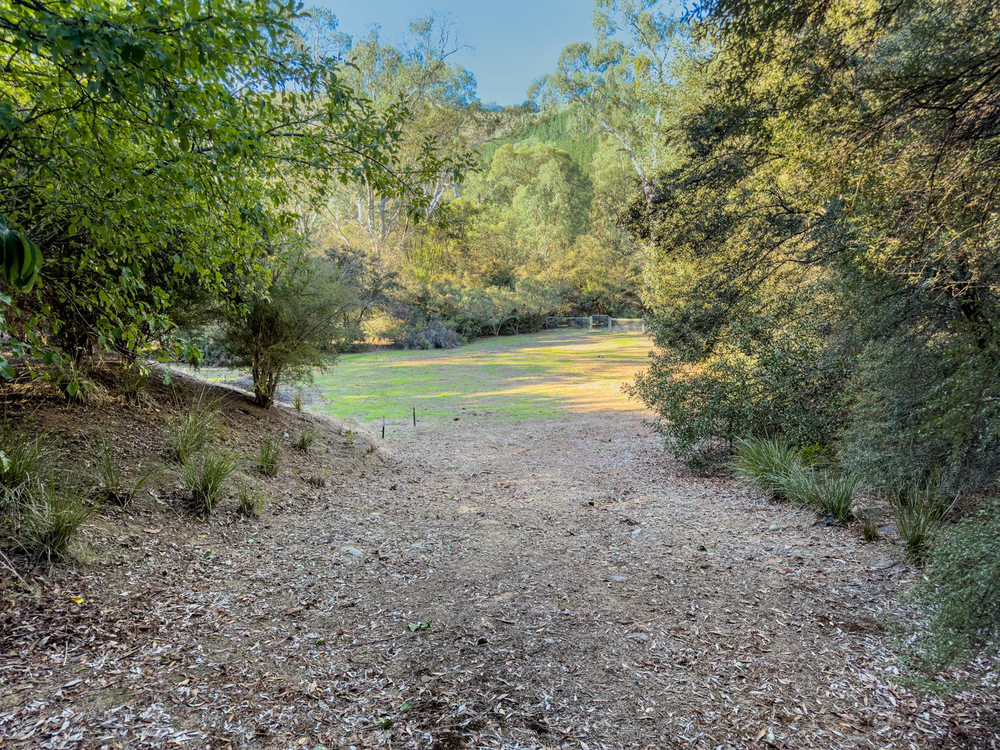 5 Kinchela Court, Bright VIC 3741 photo 3
