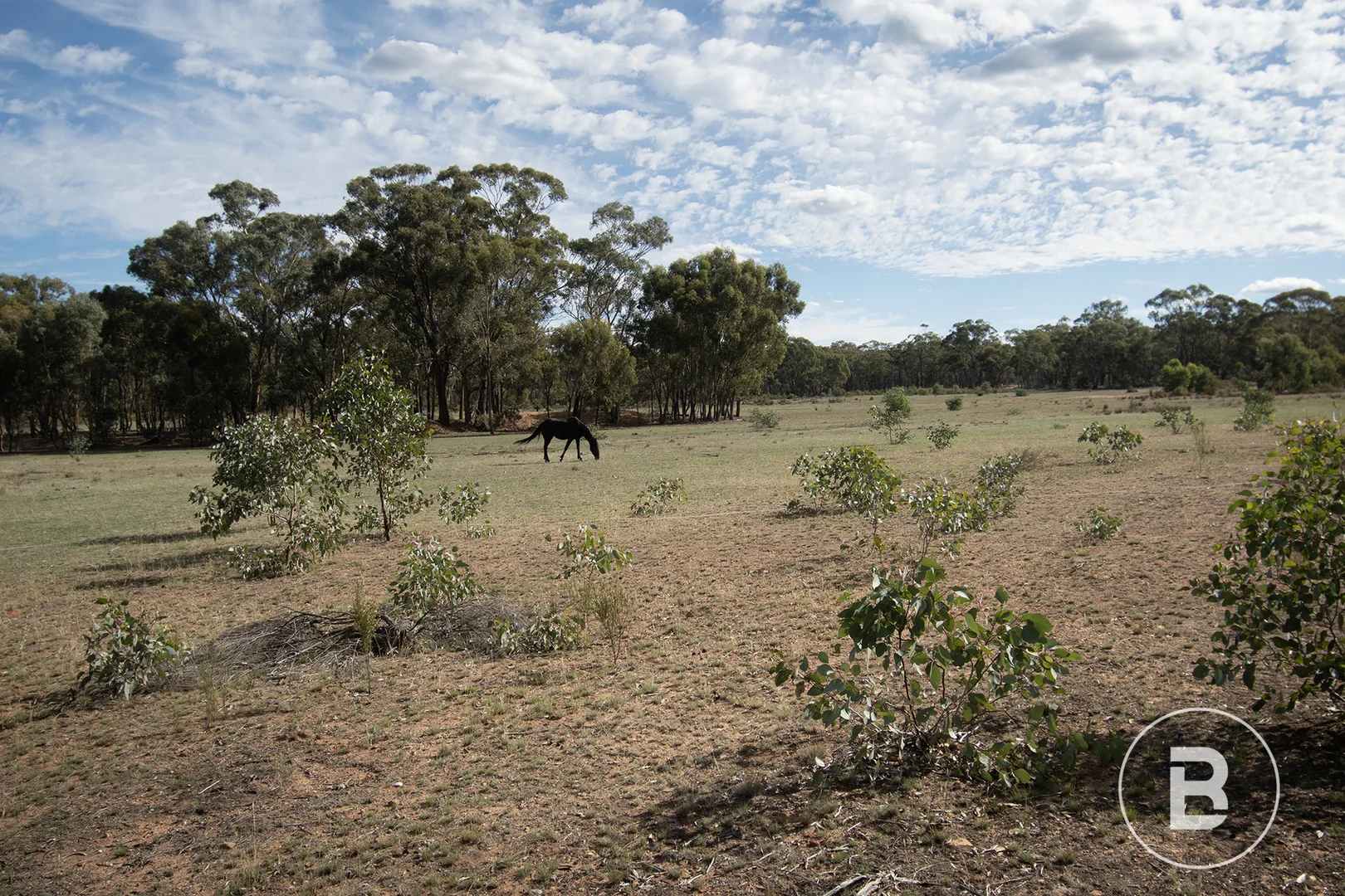 Additional image 25 of CA4 SEC 6 Maryborough Dunolly Road, Havelock VIC 3465