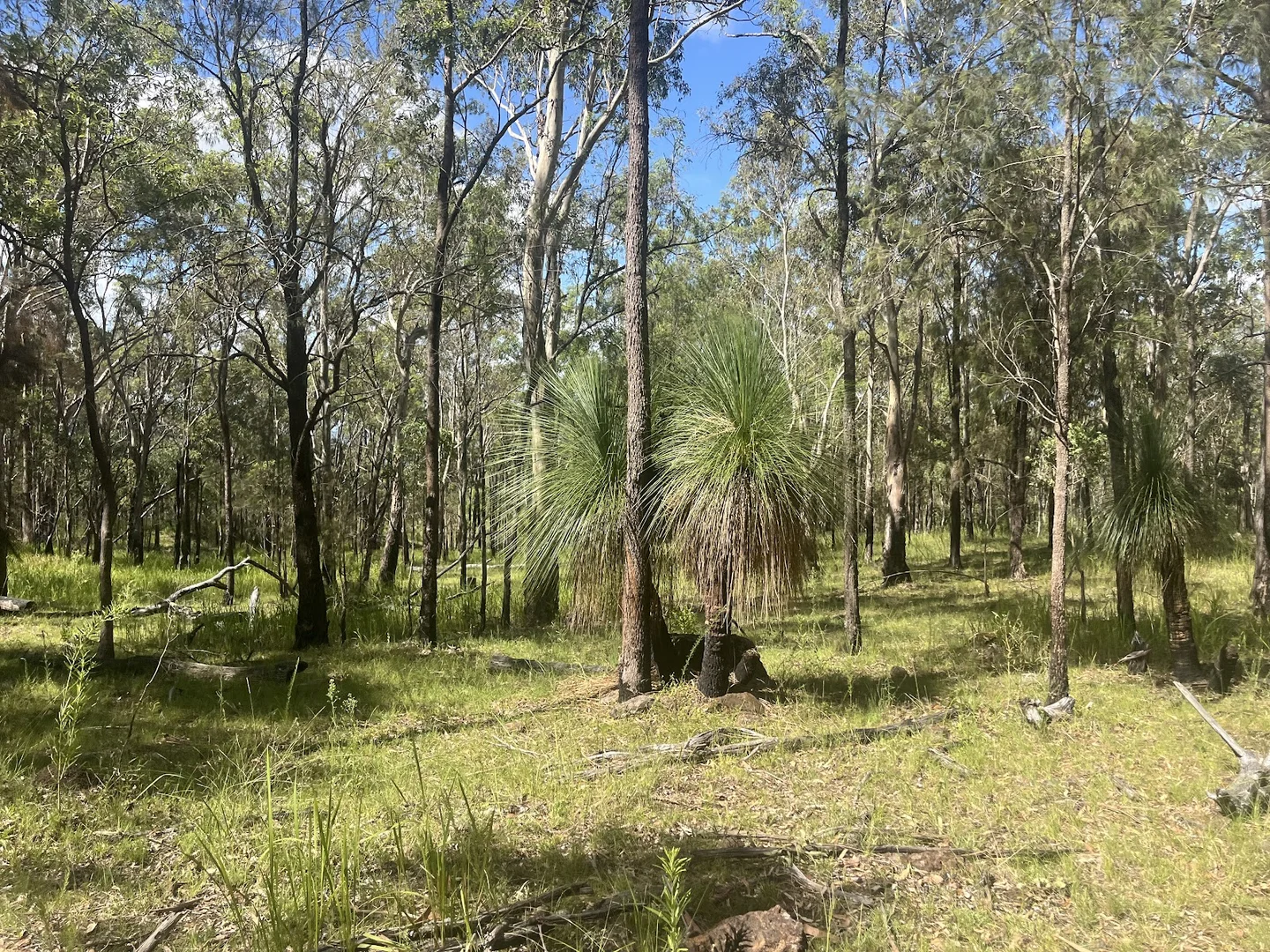 Additional image 12 of 8454 Cunningham Highway, Tarome QLD 4309