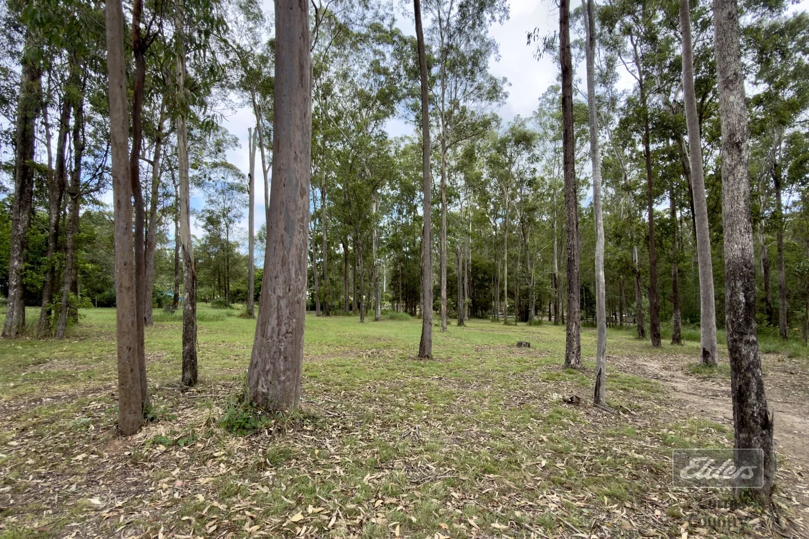 Additional image 4 of Lot 503 Wards Road, Glenwood QLD 4570