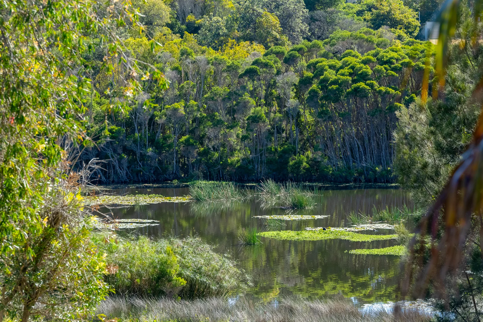 Additional image 16 of 1/46 Wallaga Lake Road, Bermagui NSW 2546