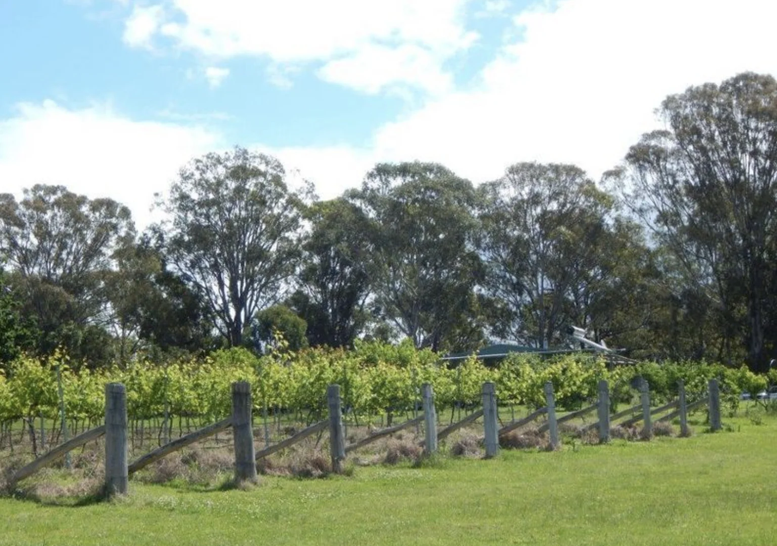 Additional image 39 of 874 Cobargo Bermagui Road, Coolagolite NSW 2550