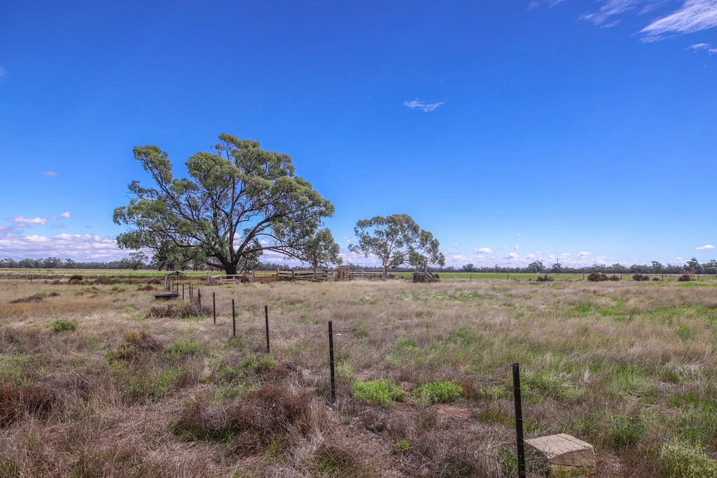 Additional image 24 of 'Old Hanley Park' 444 Greaves Road, Deniliquin NSW 2710