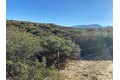 Additional image 28 of 63151 Table Mtn, Anza, CA, 92539