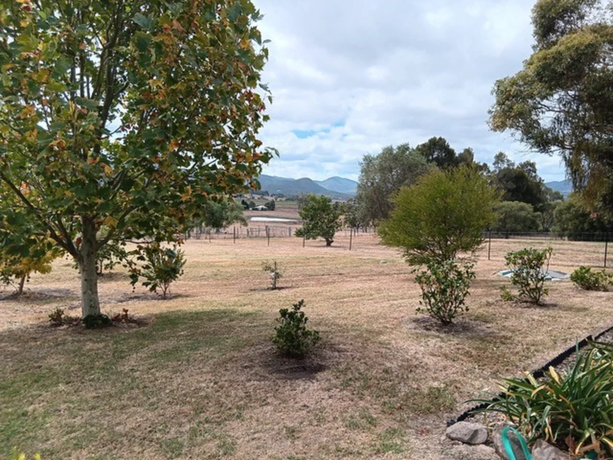 Additional image 18 of 50 Vanneck Street, Yangan QLD 4371