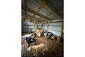 Additional image 51 of 4239 Seven Hills Rd, Odin, IL, 62870