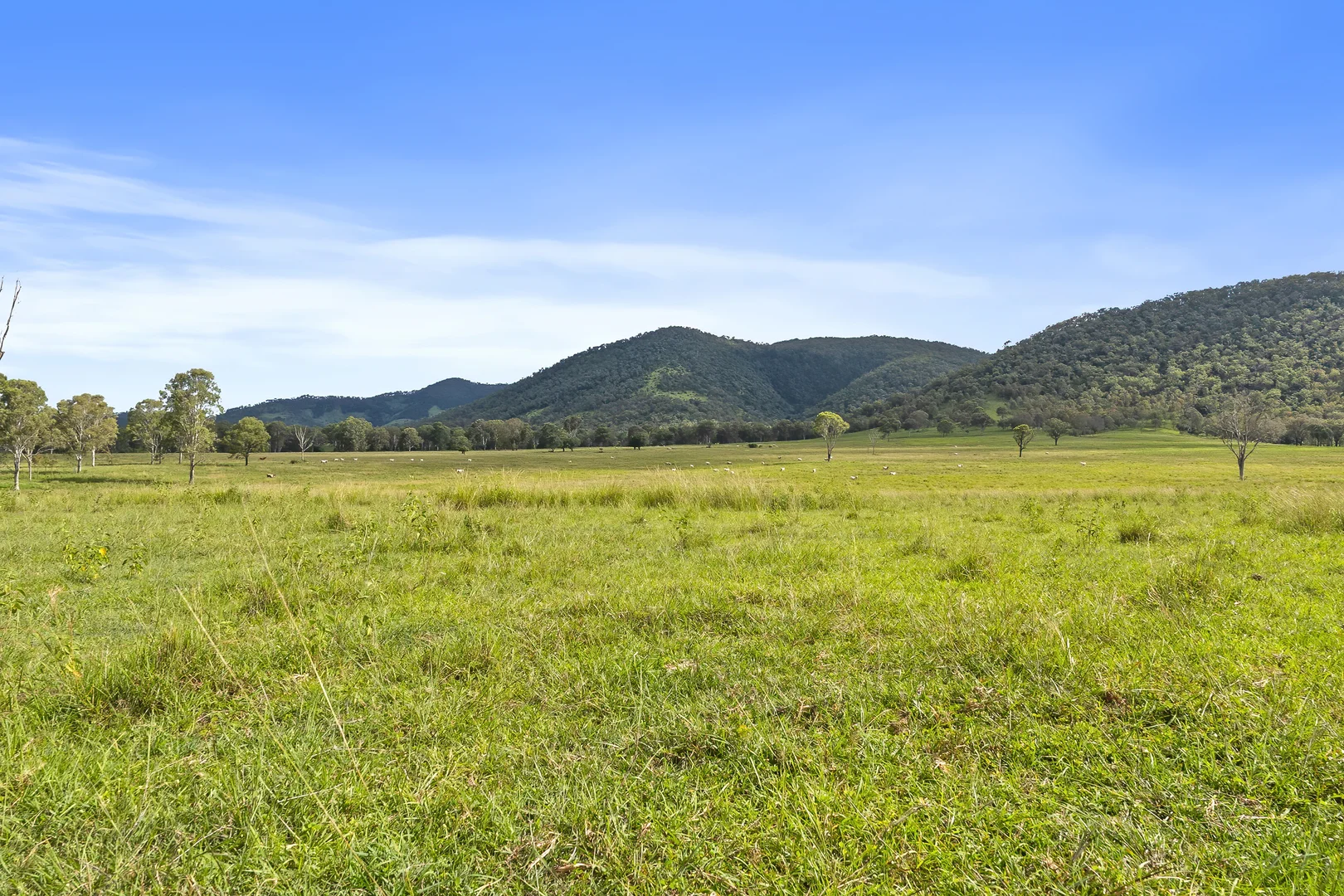 Additional image 22 of Lot 172 Gympie-Woolooga Road, Lower Wonga QLD 4570