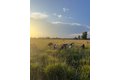 Additional image 42 of 4239 Seven Hills Rd, Odin, IL, 62870