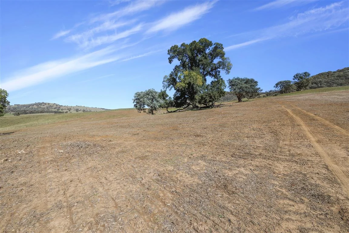 Additional image 3 of Part 1169 Grahamstown Road, Adelong NSW 2729