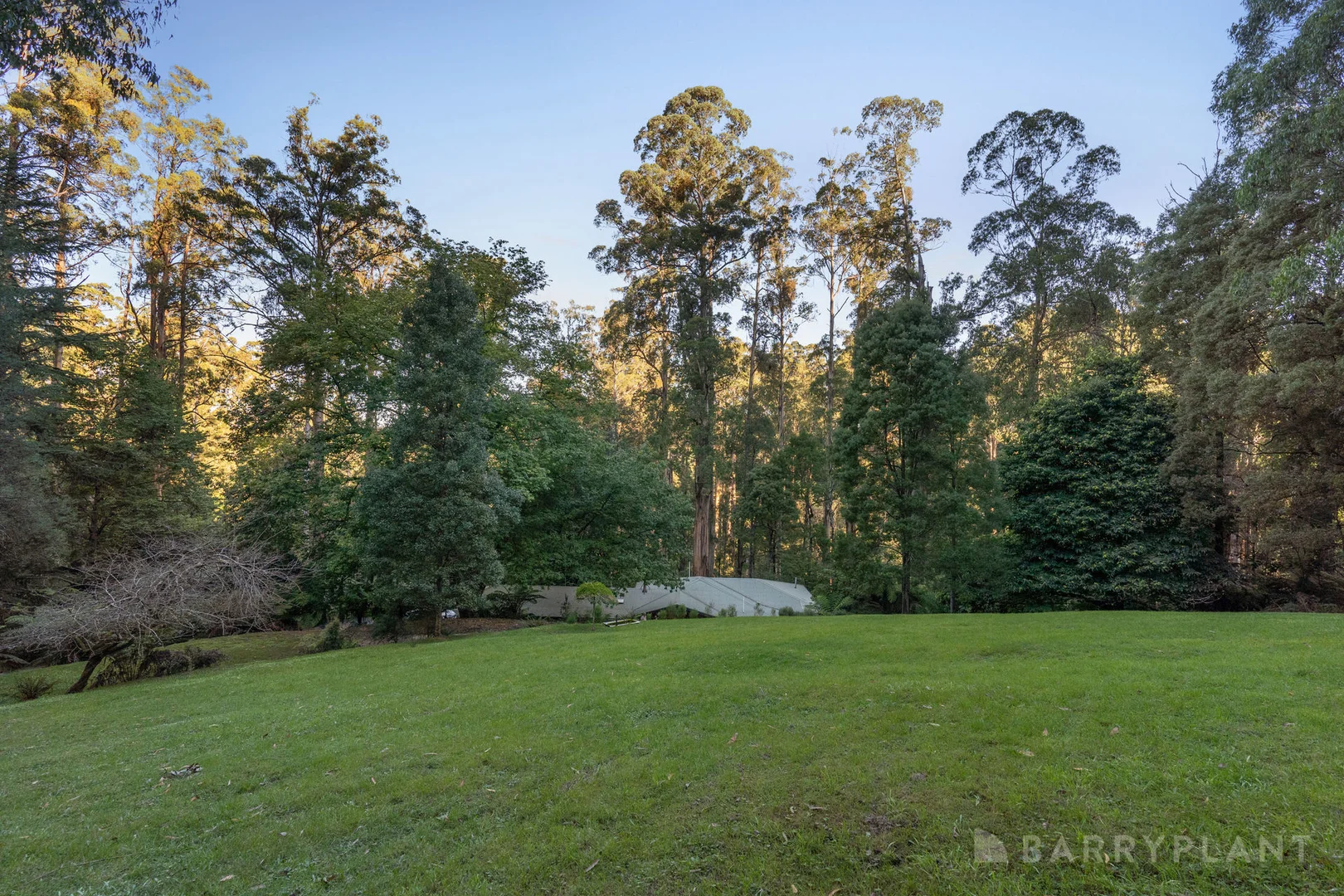 Additional image 23 of 1 Boucher Lane, Olinda VIC 3788