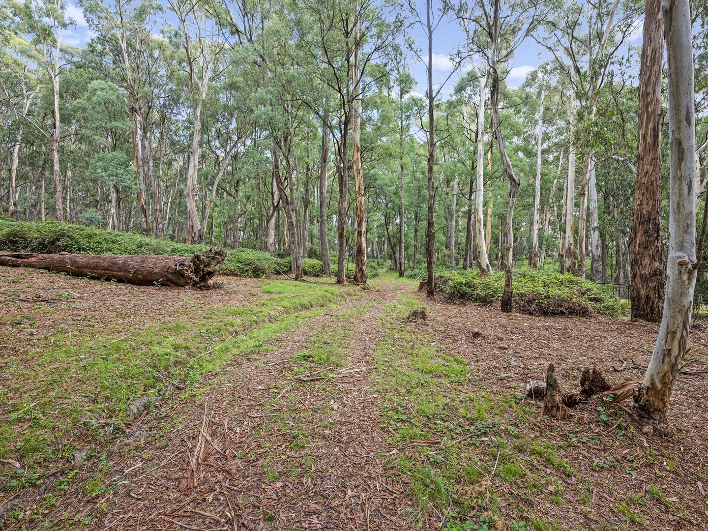 Additional image 3 of 62 Shane Lane, Tolmie VIC 3723