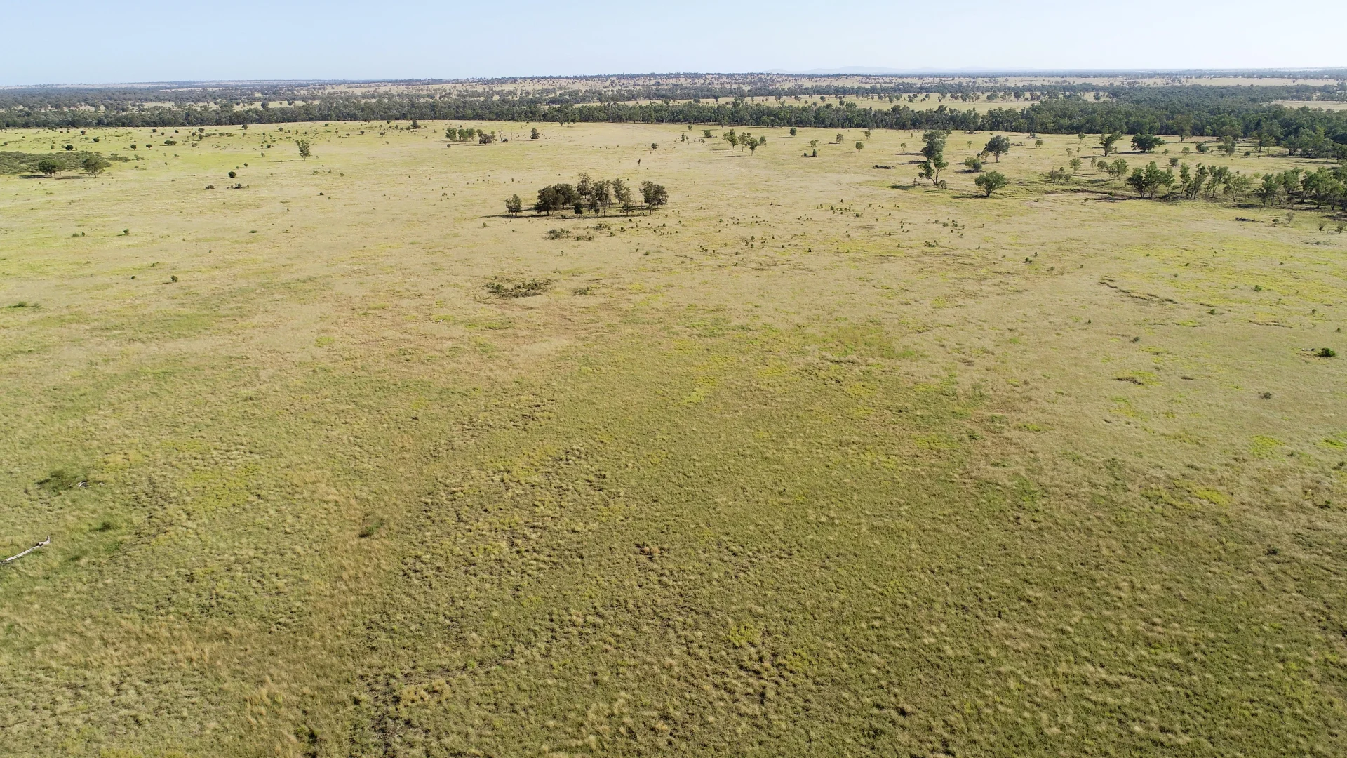 Additional image 8 of 'Edenhope' 615 Barracks Road, Roma QLD 4455