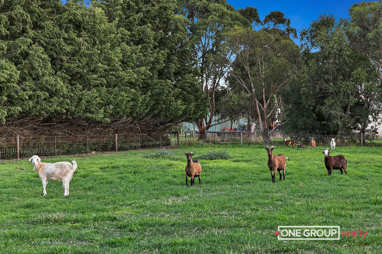 Additional image 21 of 75 Captain Pearson Drive, Mickleham VIC 3064