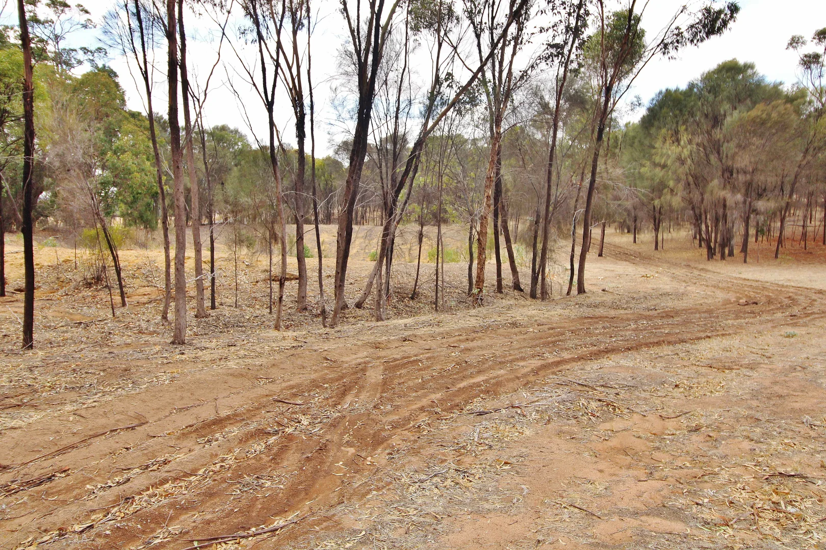 Additional image 5 of 121 DUNGOG STREET, Cuballing WA 6311