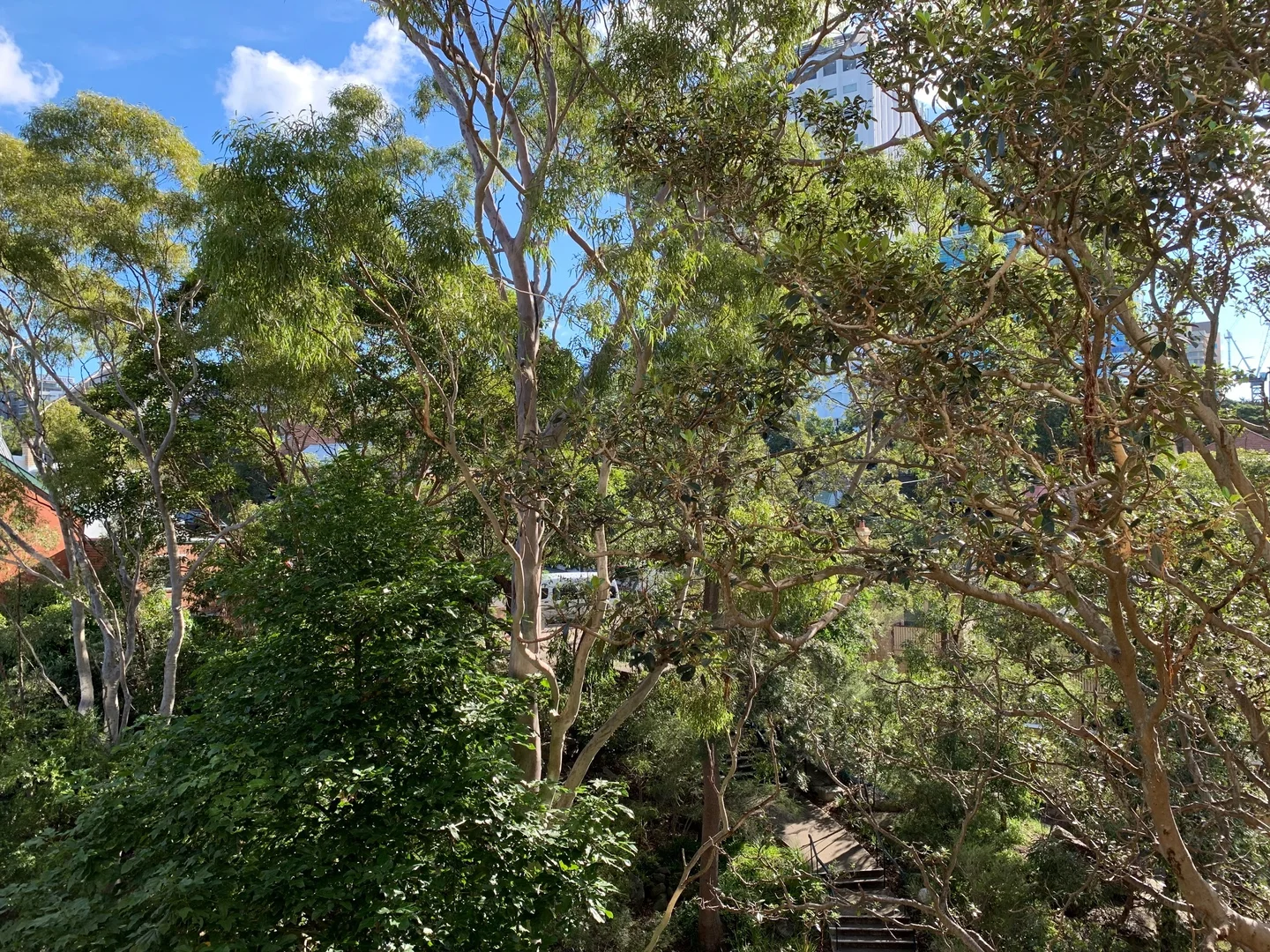 Additional image 6 of 714/22 Doris Street, North Sydney NSW 2060