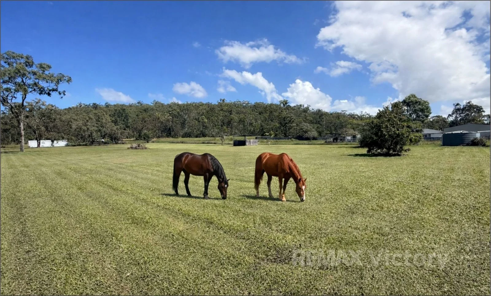 Additional image 27 of 44 Timbergrove Road, Elimbah QLD 4516