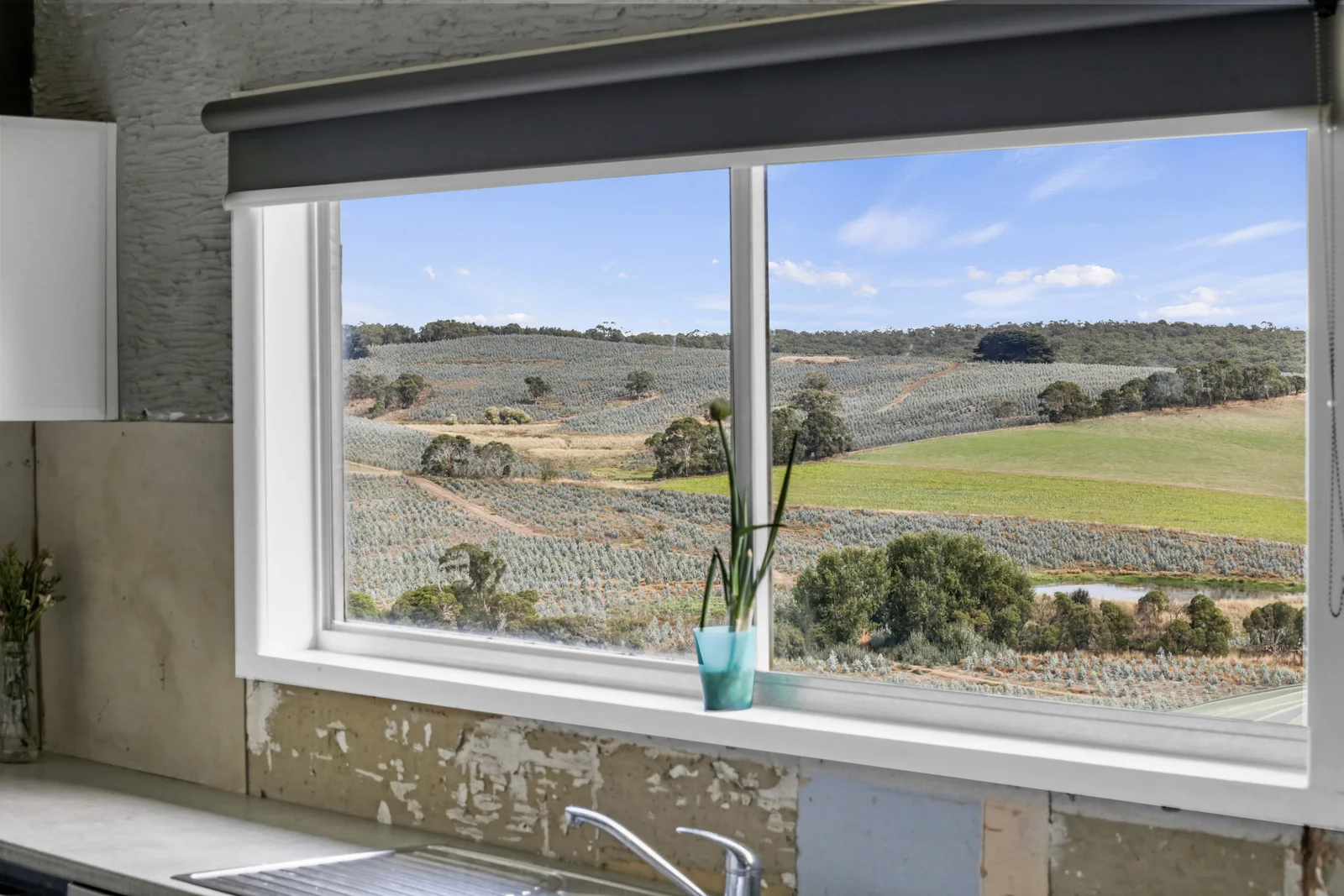Additional image 7 of 900 Williams Road, Scotts Creek VIC 3267