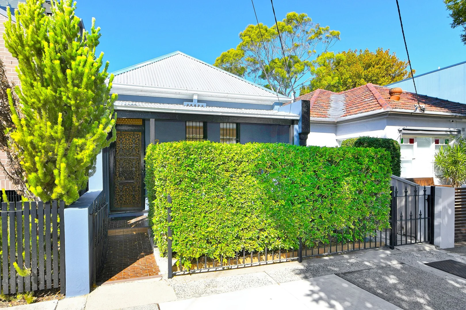 37 Hardie Street, Mascot NSW 2020