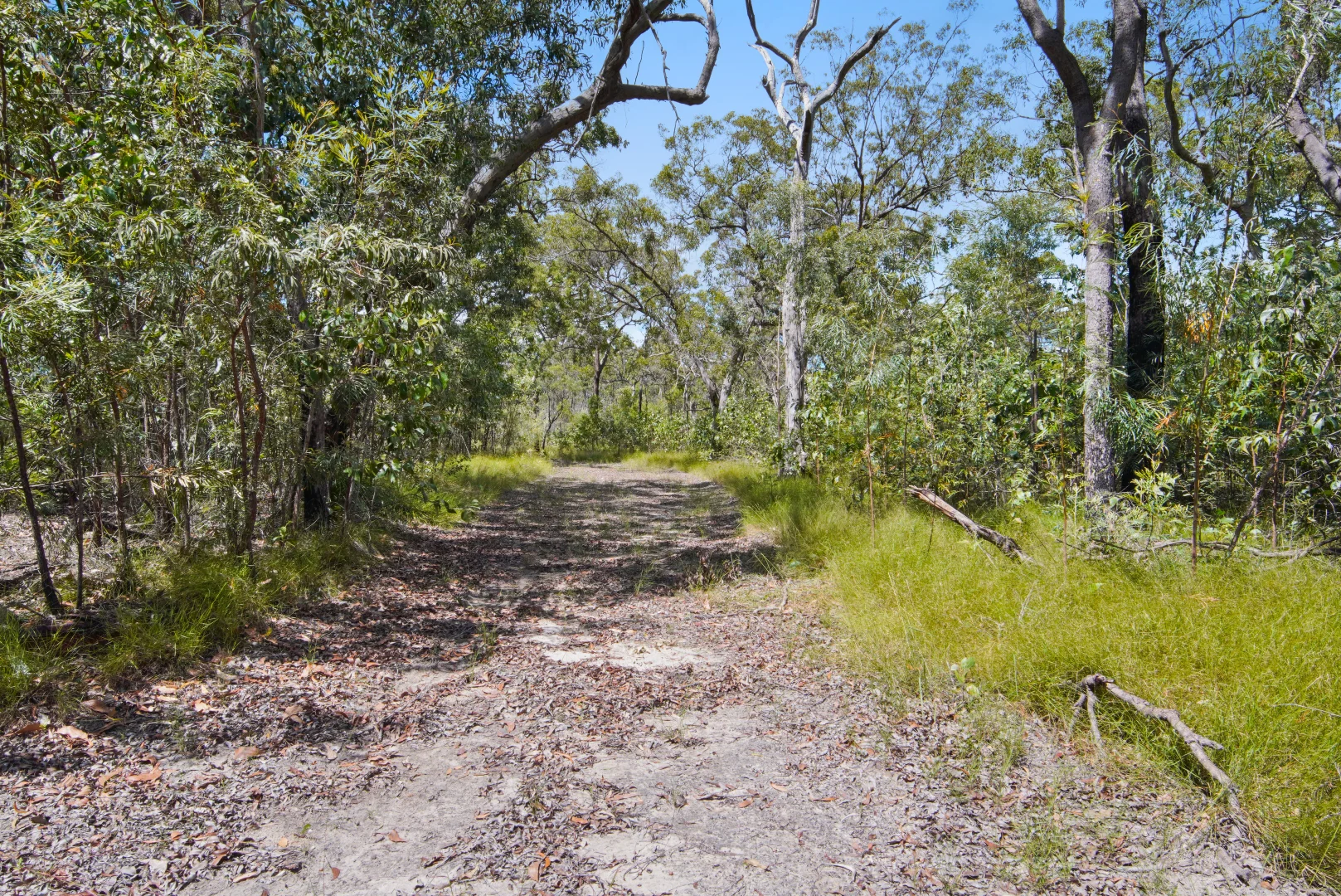 Additional image 22 of 545 Pacific Drive, Deepwater QLD 4674