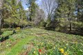 Additional image 60 of 135 and 129 Zaccheus Mead Ln, Greenwich, CT, 06831