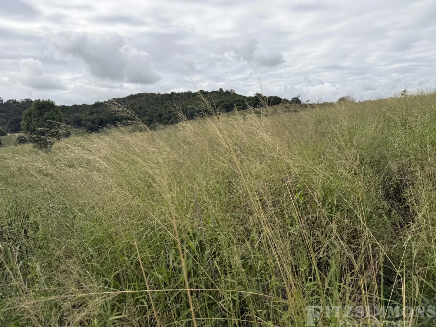 Additional image 7 of Kaimkillenbun QLD 4406