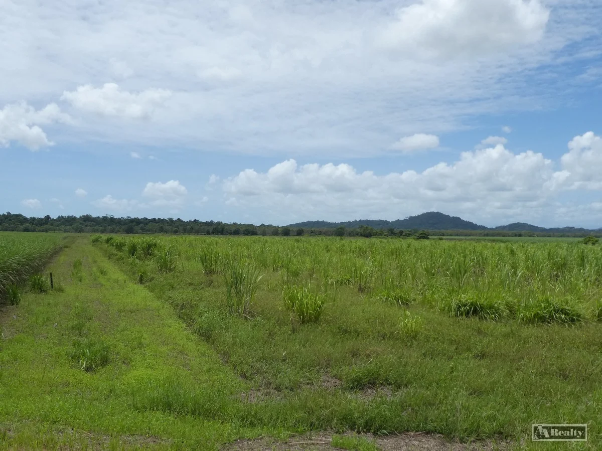 41 Bramston Beach Road, Eubenangee QLD 4860 photo 3