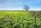 Additional image 11 of Ansley Road, Warwickshire CV10