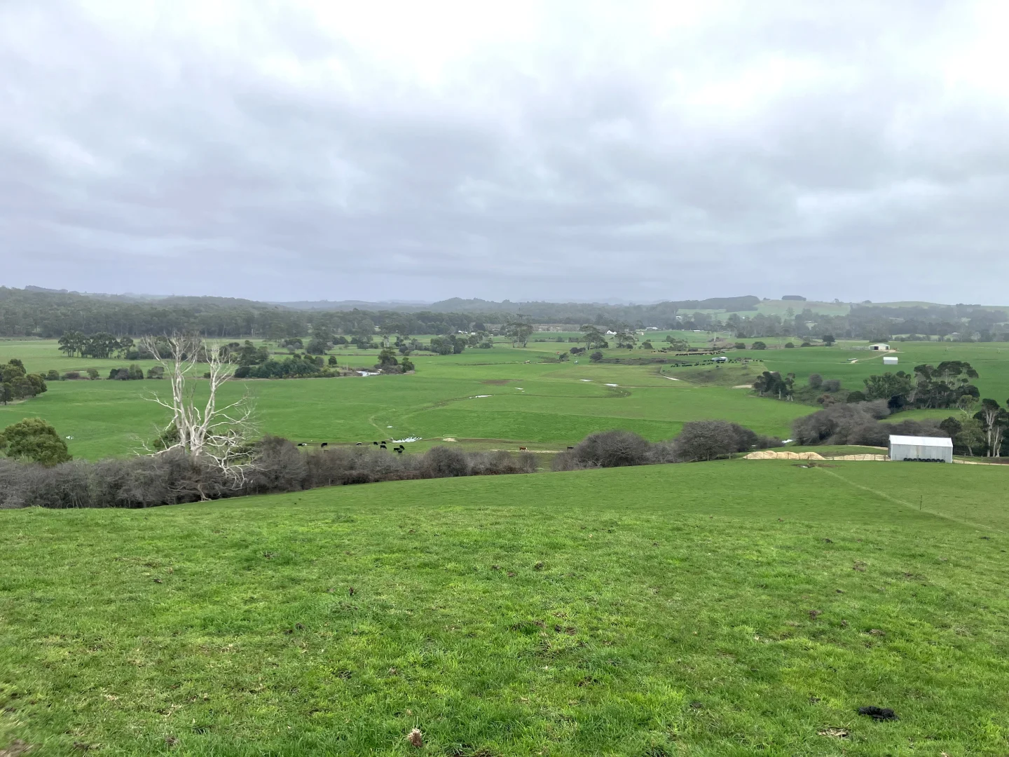 Additional image 3 of 16797 Bass Highway, Flowerdale TAS 7325