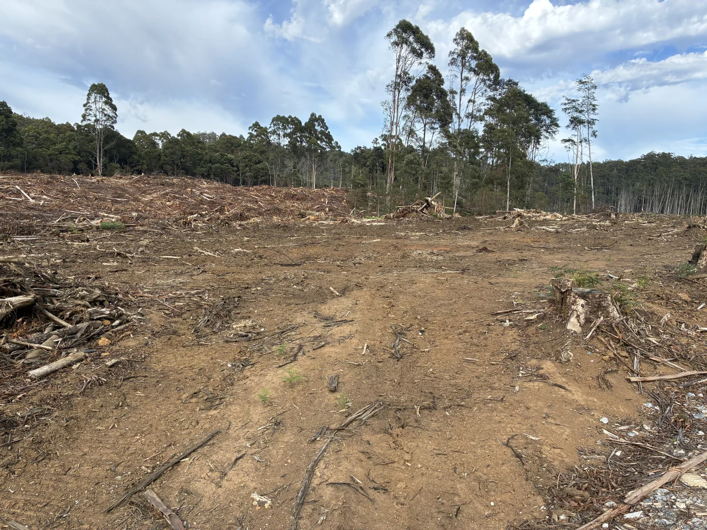 . Calder Road, Calder TAS 7325 photo 2