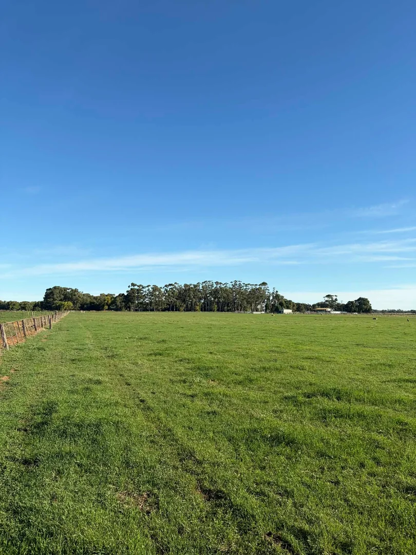 Additional image 2 of 78 Nicholson Lane, Kotta VIC 3565