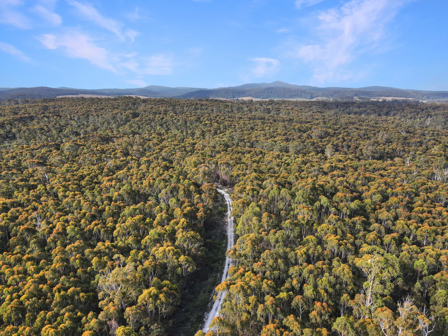 Additional image 9 of 25851 Tasman Highway, St Helens TAS 7216