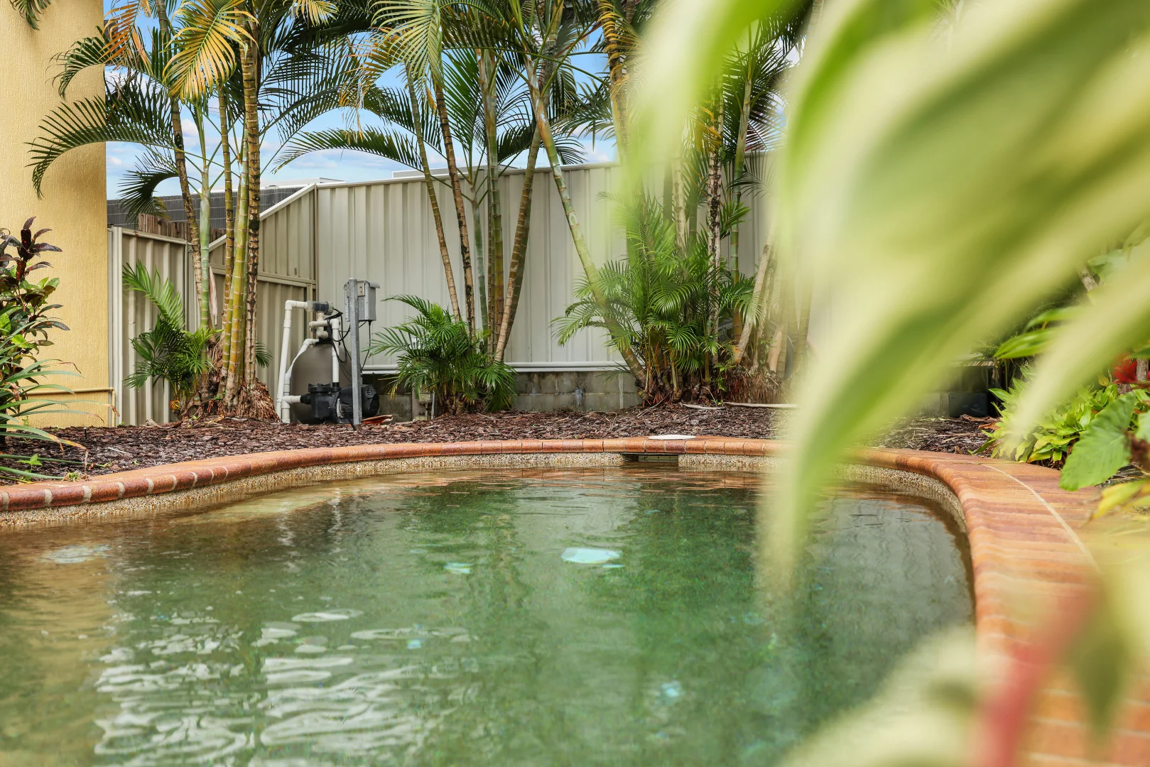 Additional image 7 of 6/27 Balaclava Road, Earlville QLD 4870