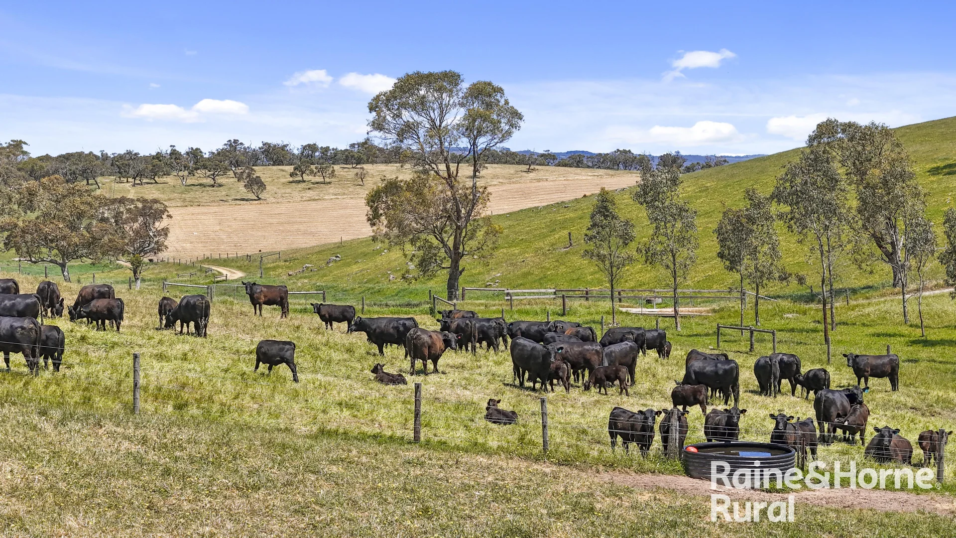 433 James Track, Inman Valley SA 5211 photo 2
