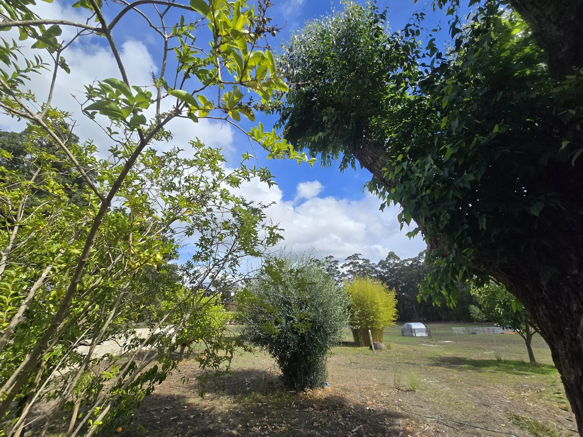 Additional image 22 of 11553 Abbott Street, Pemberton WA 6260