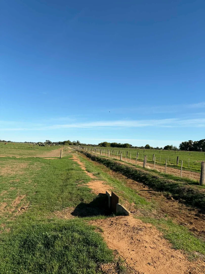 Additional image 17 of 78 Nicholson Lane, Kotta VIC 3565