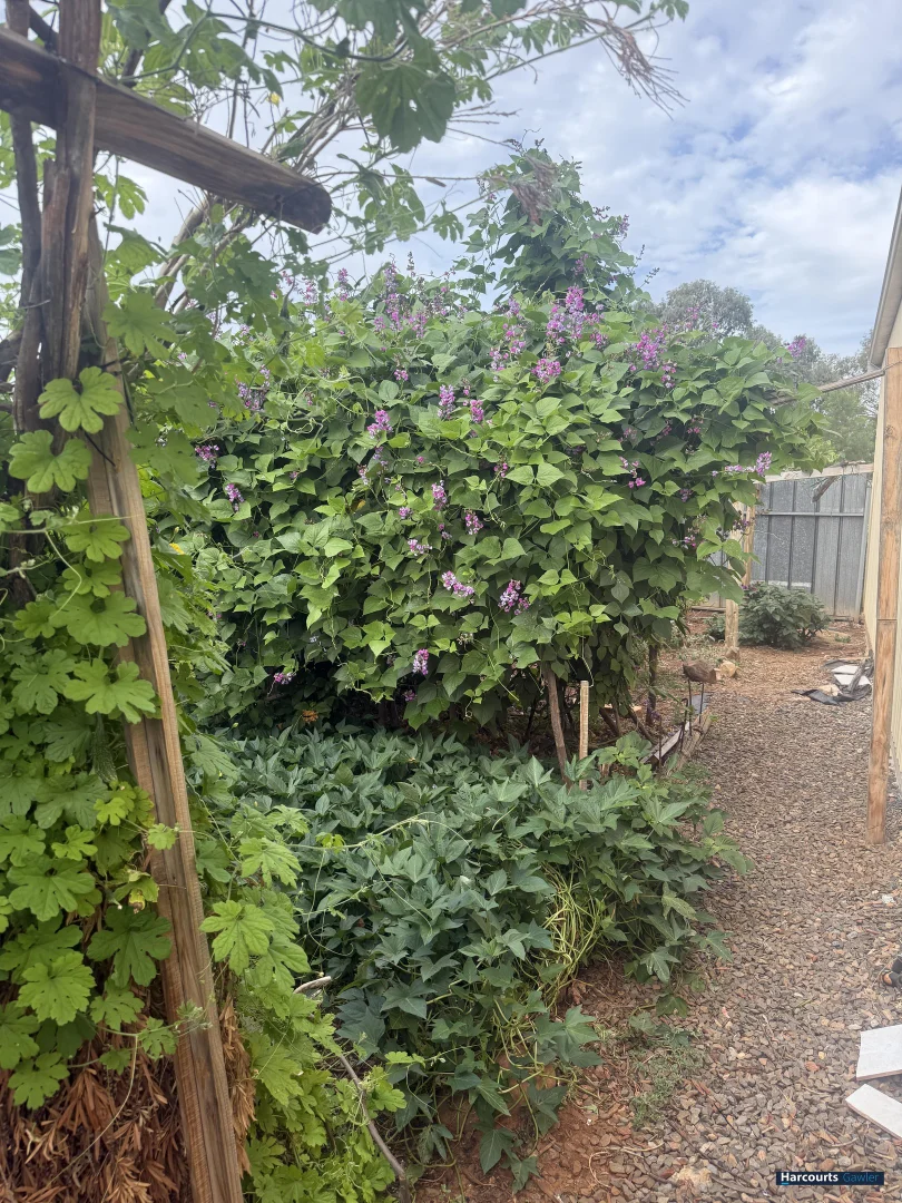 Additional image 23 of 28 Manningford Road, Elizabeth South SA 5112