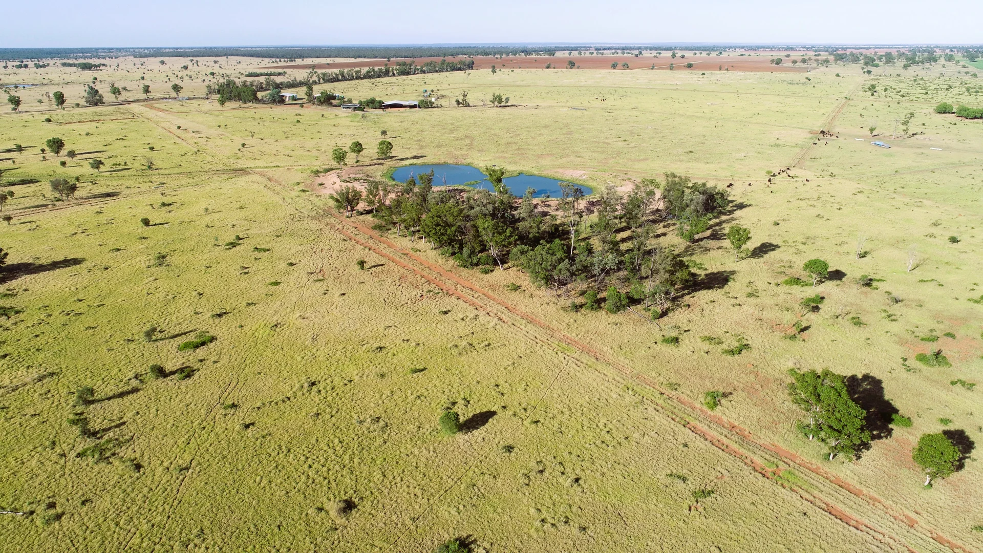 Additional image 3 of 'Edenhope' 615 Barracks Road, Roma QLD 4455