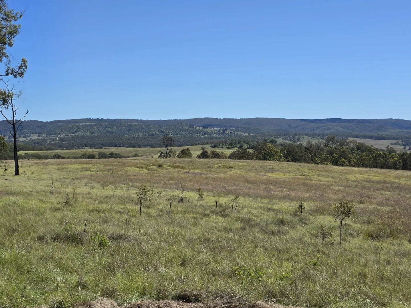 Additional image 33 of 160 Rocky Gully Road, Crows Nest QLD 4355