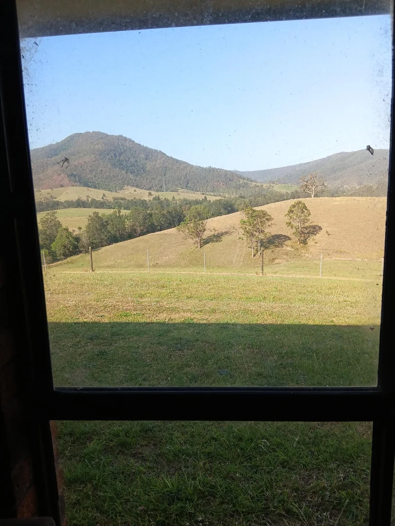 Additional image 5 of 127 Tobins River Road, Mount Seaview NSW 2446