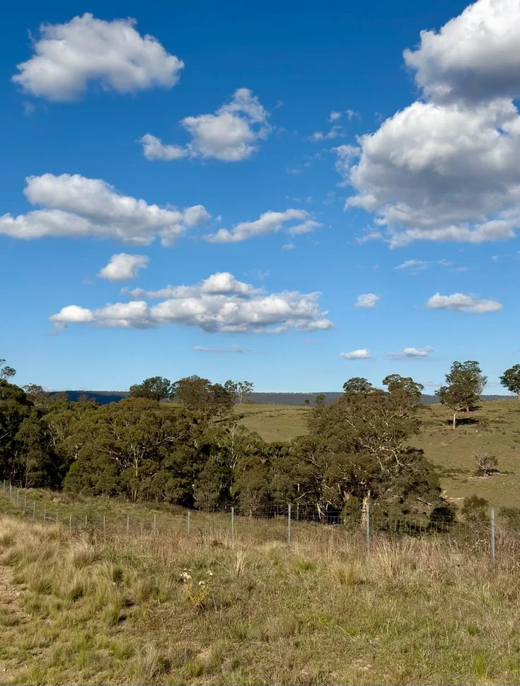 1175 Razorback Road, Mudgee NSW 2850 photo 2