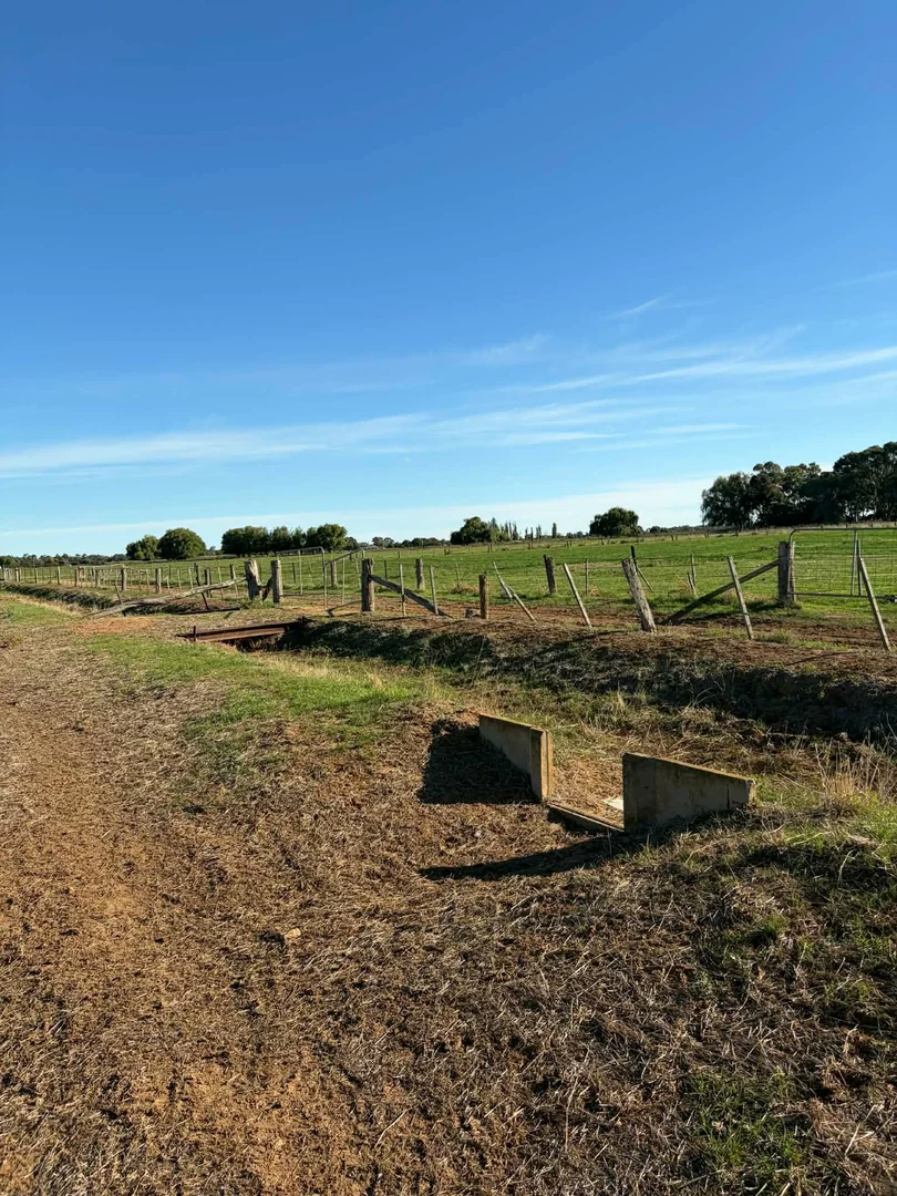 Additional image 22 of 78 Nicholson Lane, Kotta VIC 3565