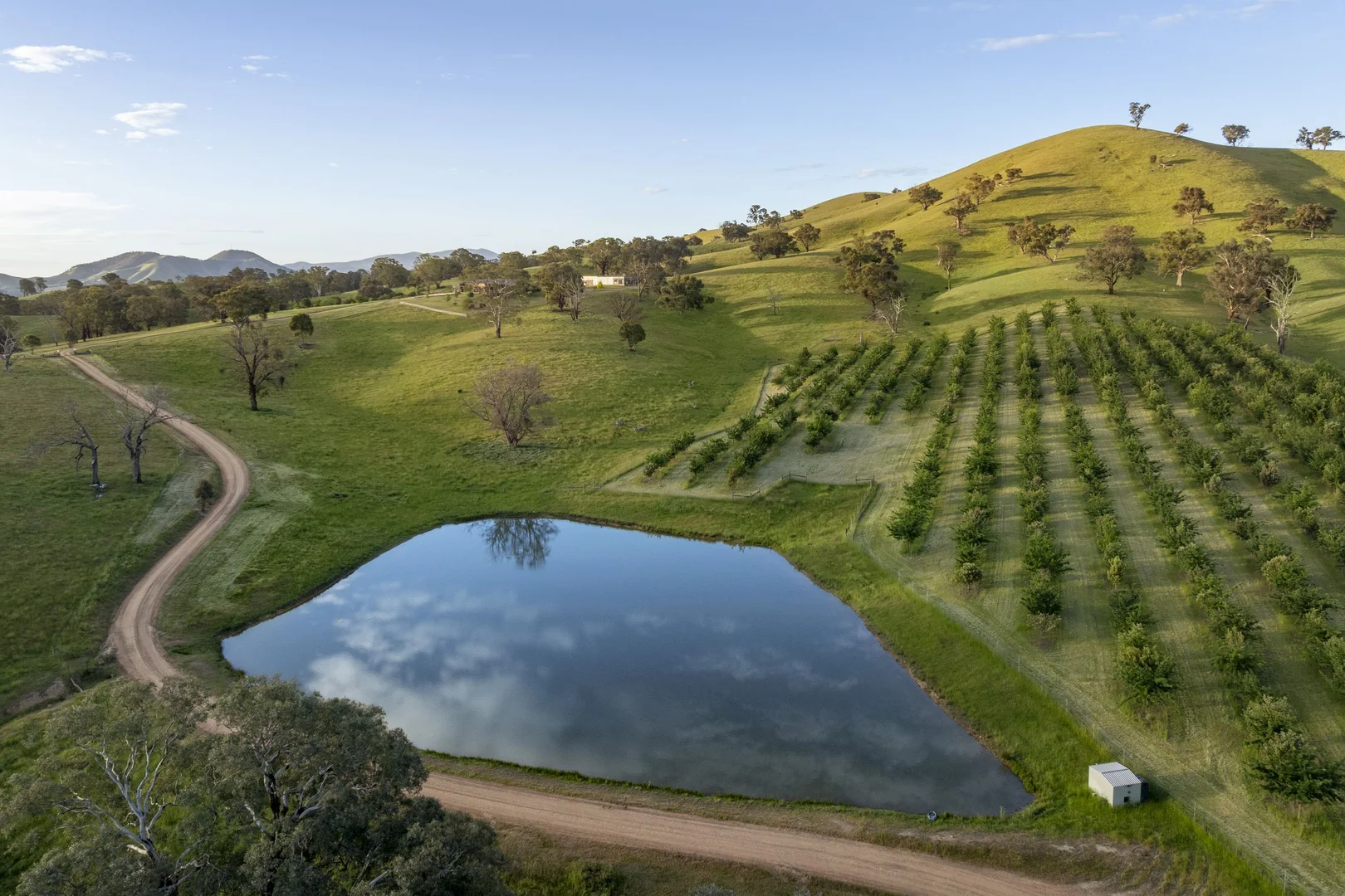 606 Monkey Gully Road, Mansfield VIC 3722 photo 4