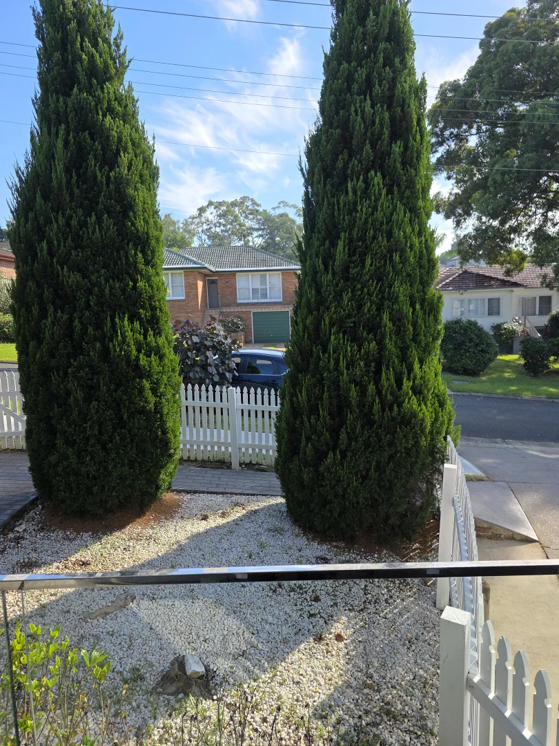 Additional image 2 of 1 Kywong St, Telopea NSW 2117