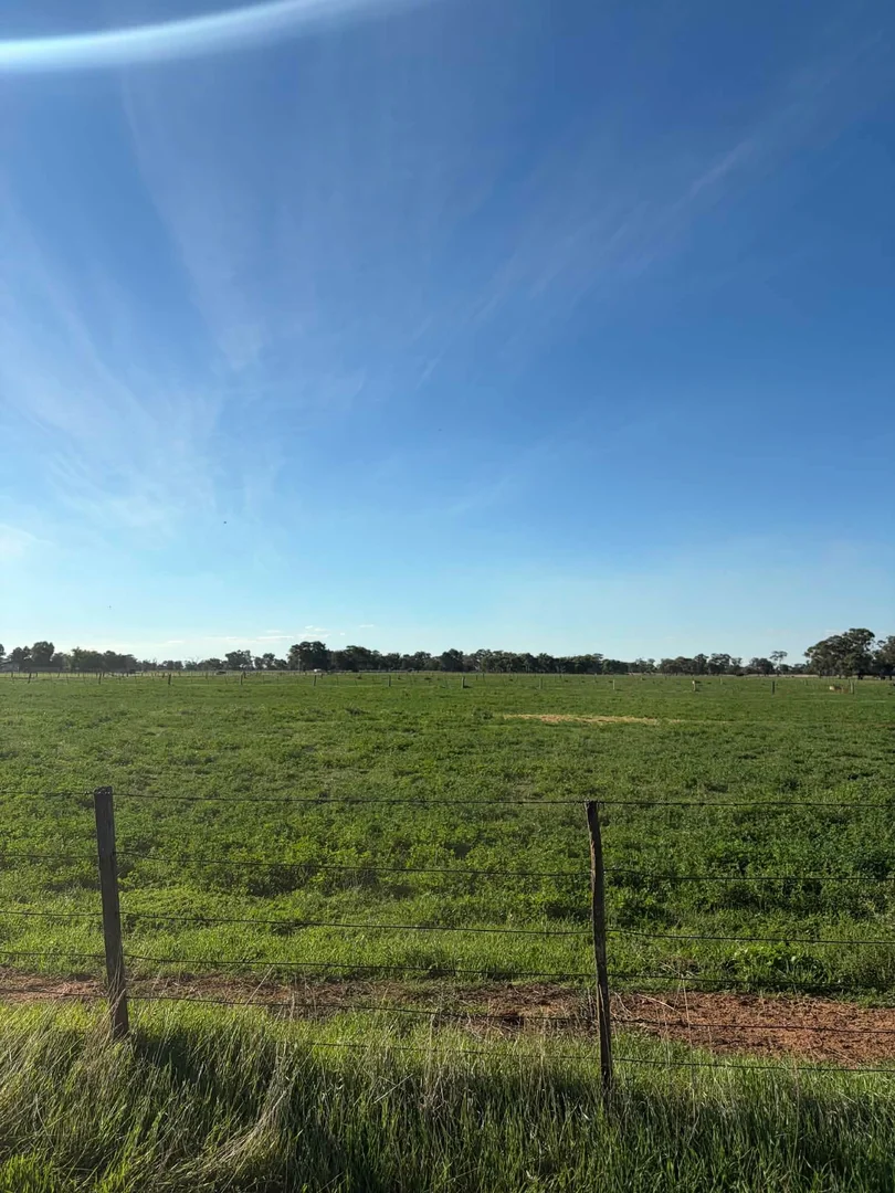 Additional image 8 of 78 Nicholson Lane, Kotta VIC 3565