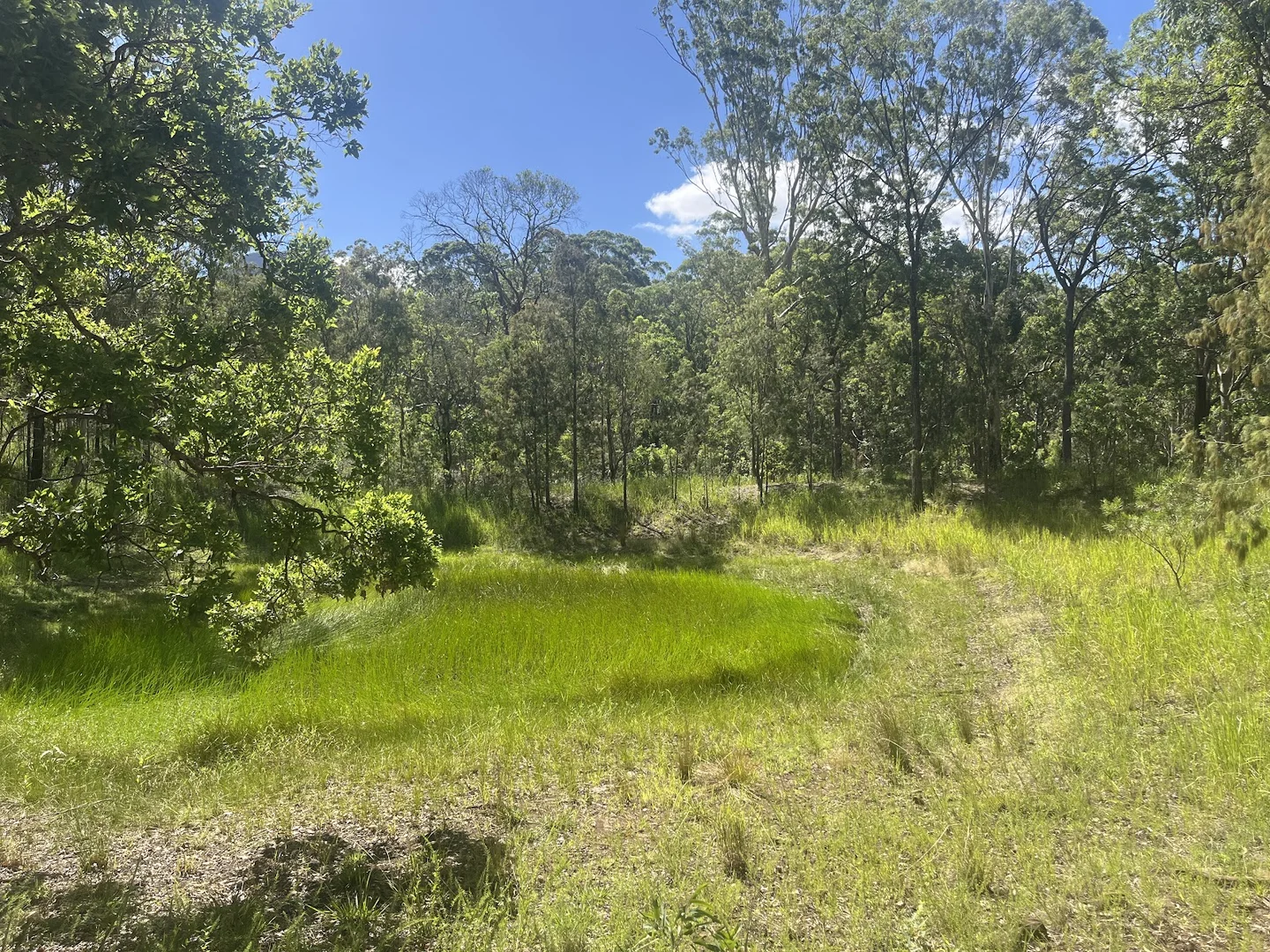 Additional image 9 of 8454 Cunningham Highway, Tarome QLD 4309
