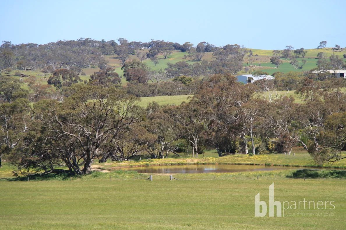 Additional image 9 of Section 332 and Section 330 & 405 Kubenk Road, Rockleigh SA 5254