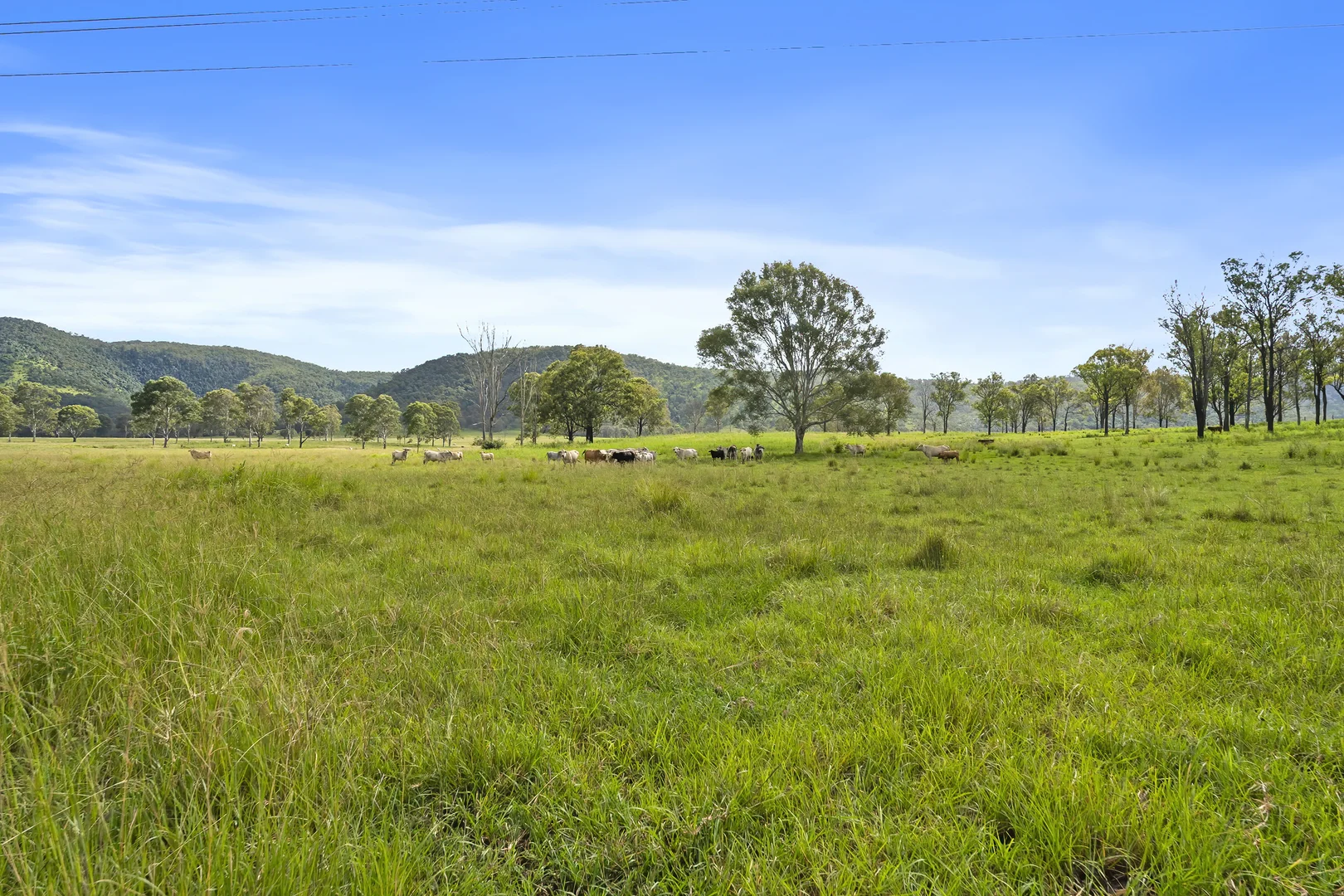 Additional image 20 of Lot 172 Gympie-Woolooga Road, Lower Wonga QLD 4570