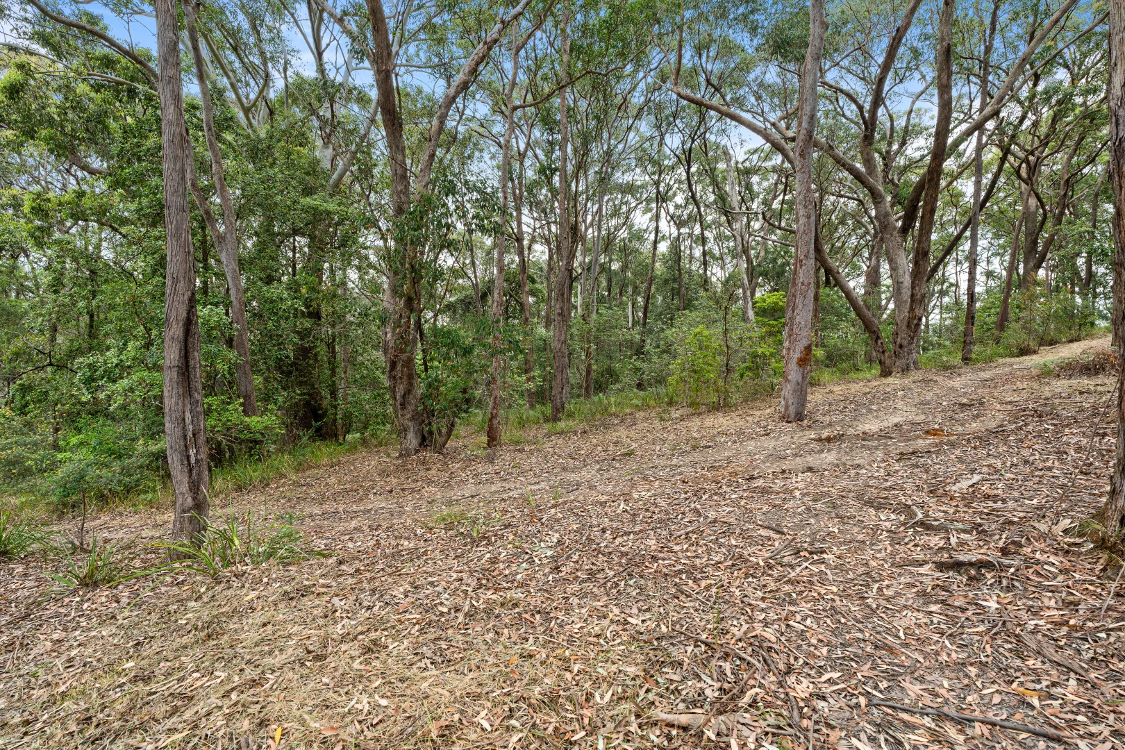 Additional image 4 of 12 Kooronya Road, Kincumber NSW 2251